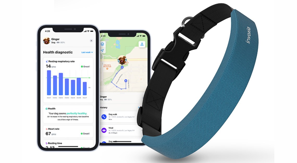 Smart Dog Collar