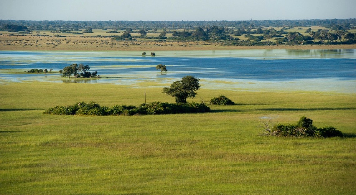 Green season safari Wilderness Safaris