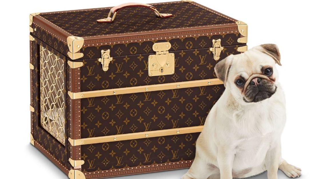 Louis Vuitton Dog by The House of Art on Dribbble