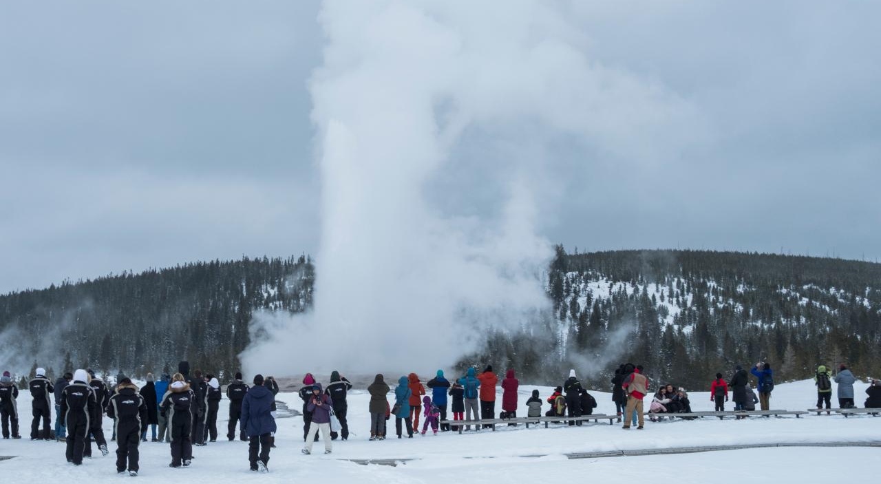 yellowstone geyser