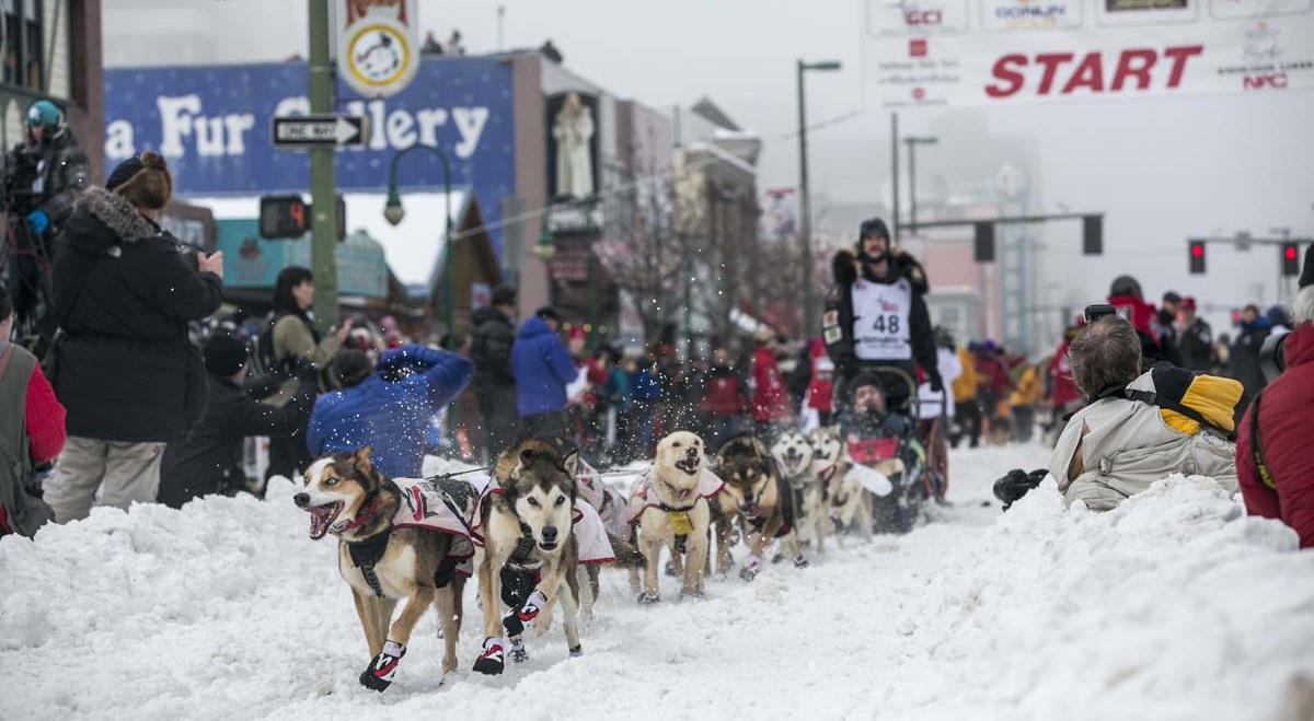 REU-USA-IDITAROD_START-18-1.jpg