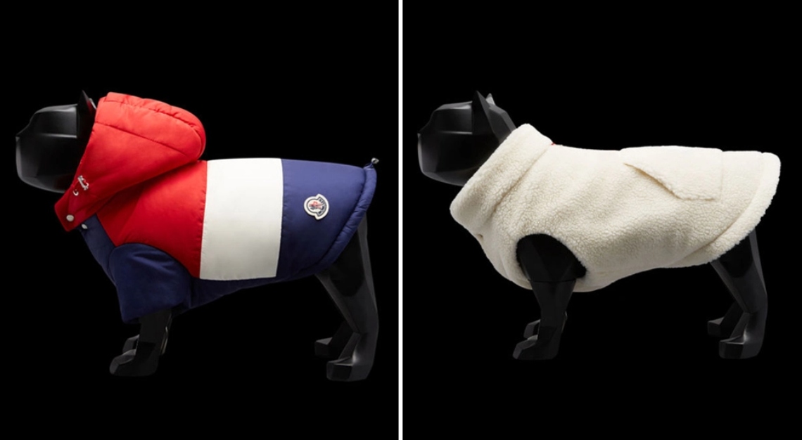 moncler x poldo dog couture