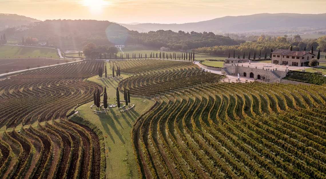 Brunello Cucinelli wine