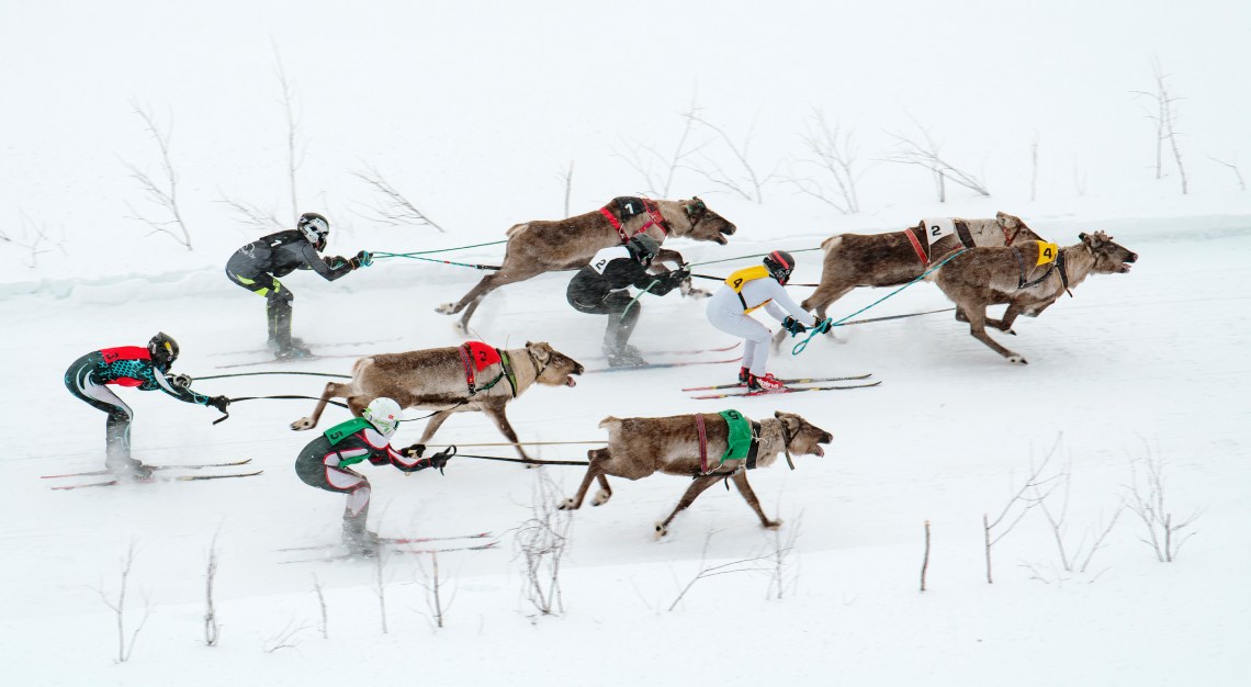 Hannelore Vandenbussche Human Playground