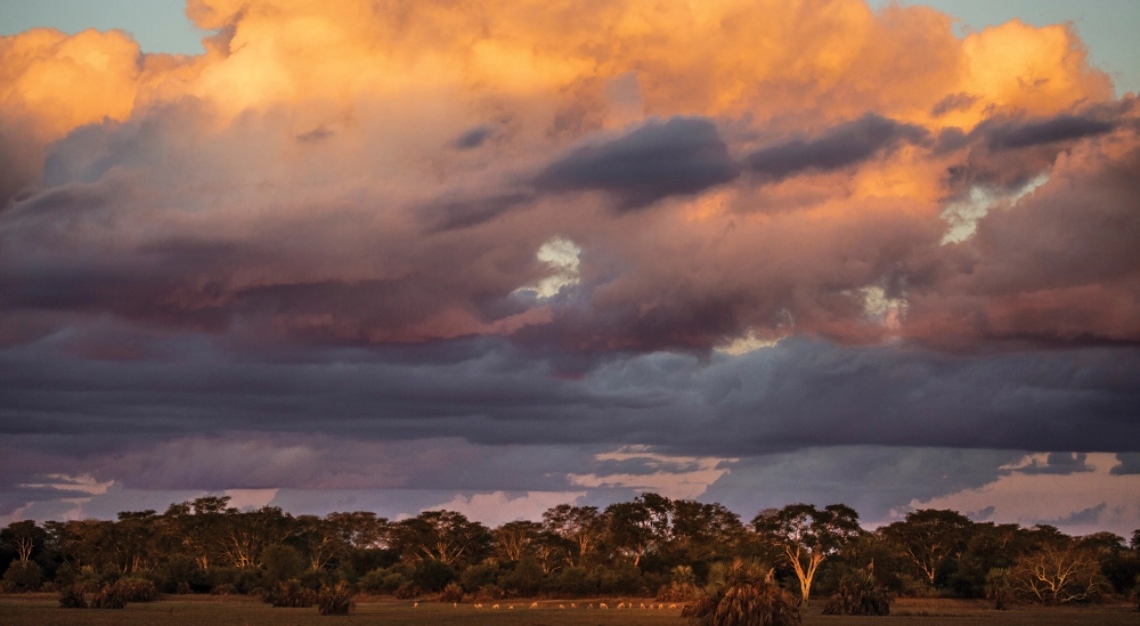 Gorongosa National Park