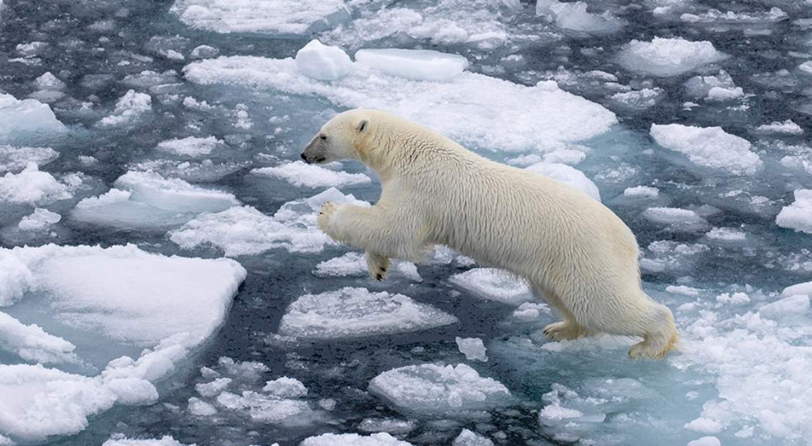 Ponant Le Commandant Charcot North Pole expedition