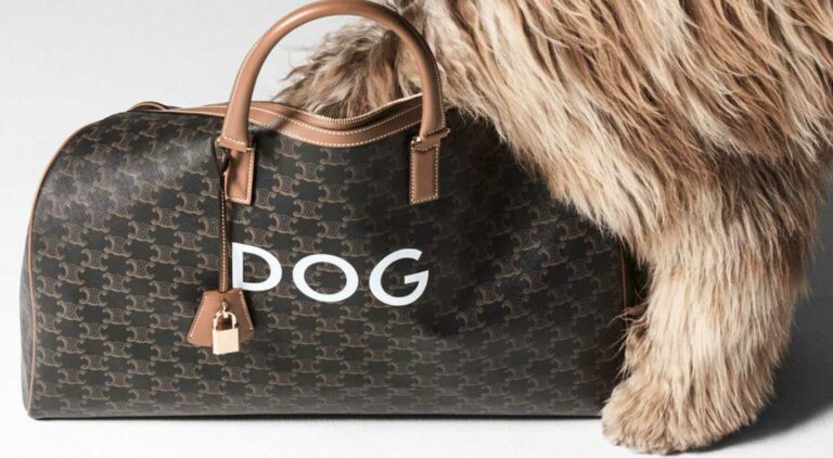 This Week in Luxury: Leica reveals limited edition timepiece, Celine ...