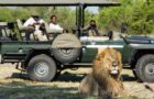 Great Plains Conservation Africa safari experience in Botswana