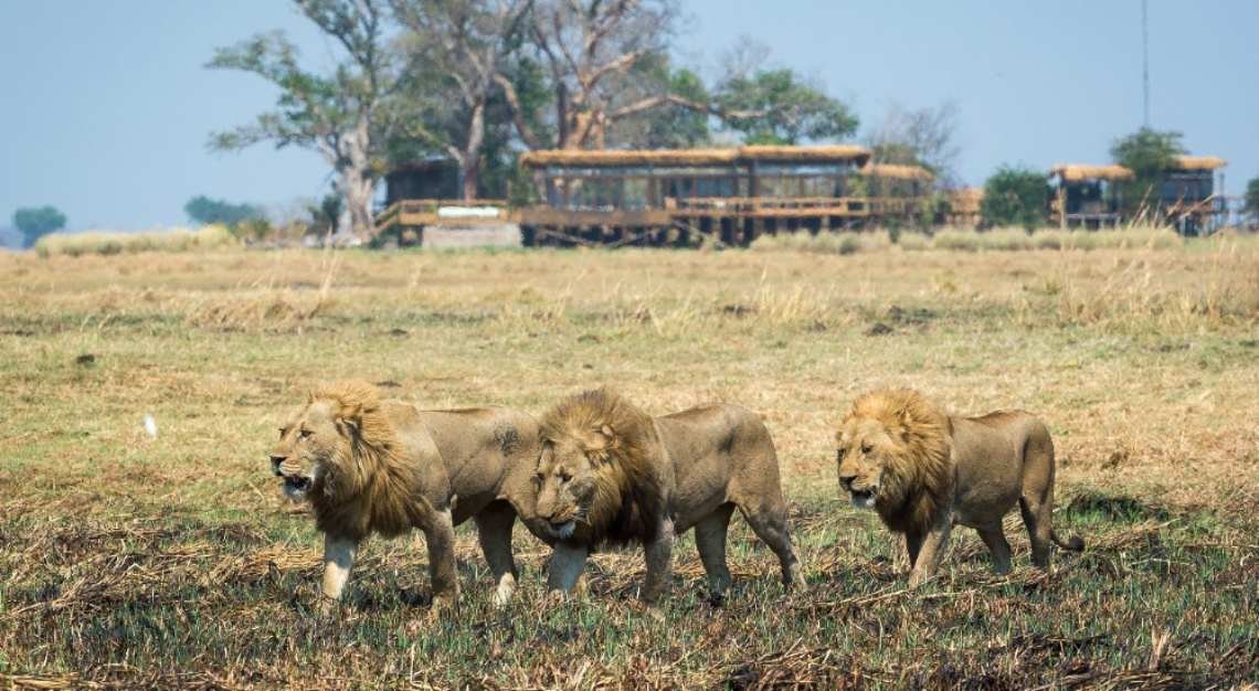 Wilderness Safaris Zambia trip