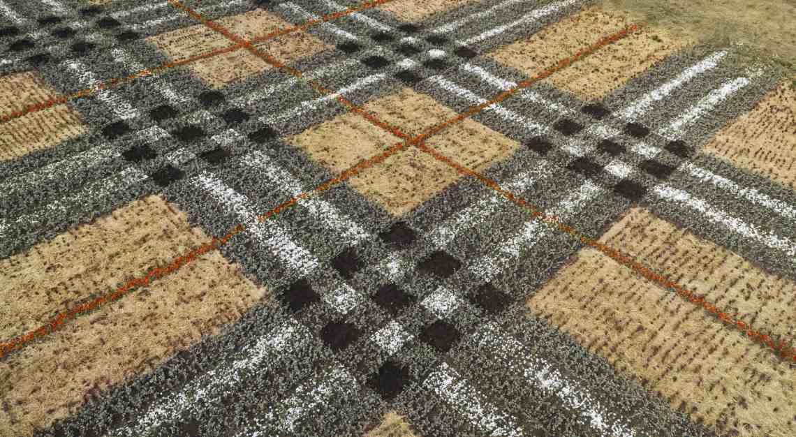 The latest iteration of Burberry Landscapes puts the brand’s iconic ...