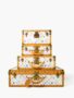 Louis Vuitton Multicolore Alzer Suitcases Signed by Takashi Murakam